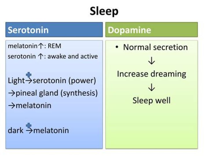 Does serotonin affect sleep?