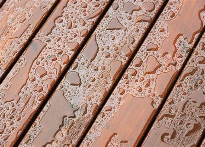 Does shellac make wood waterproof?