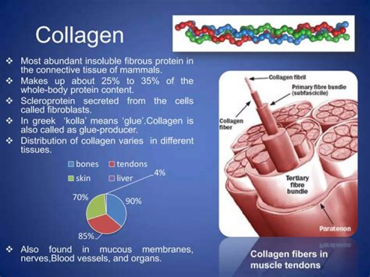 Does sleep produce collagen?