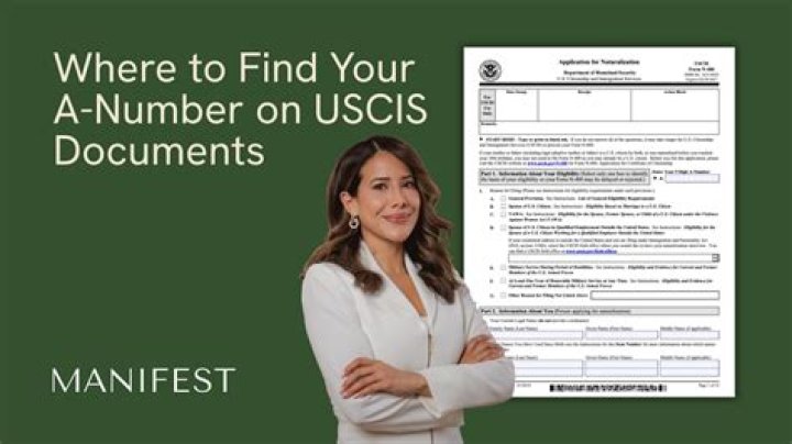 Does USCIS have access to IRS records?