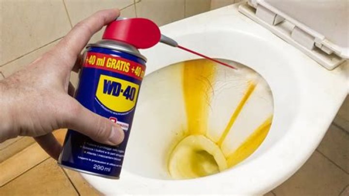 Does WD 40 Remove toilet rings?