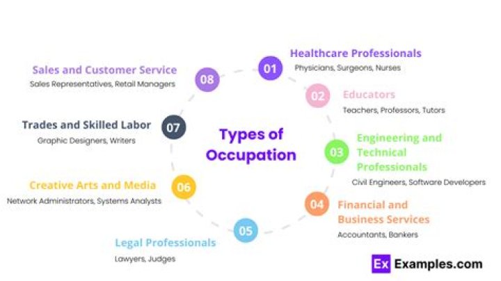 How are occupation classified?