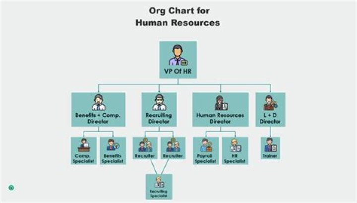 How can an organization increase its human resource supply?