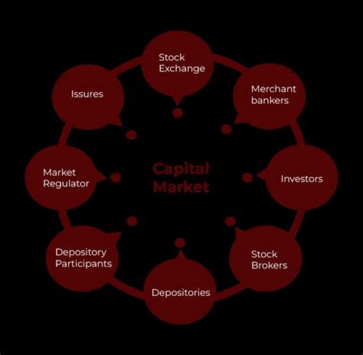 How can capital market be improved?