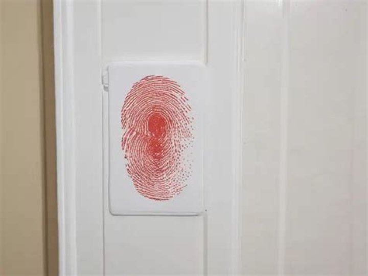 How can I remove my fingerprints?