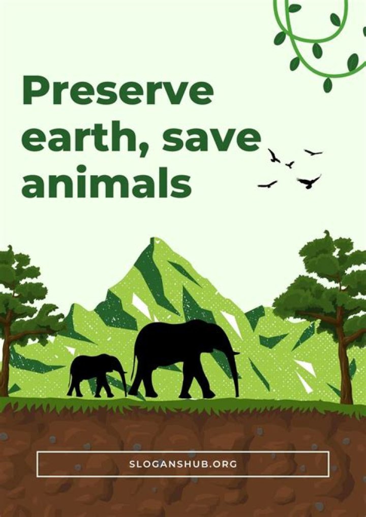How can we save animals slogans?