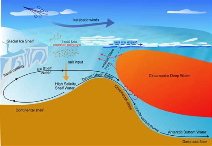 How cold is bottom of ocean?