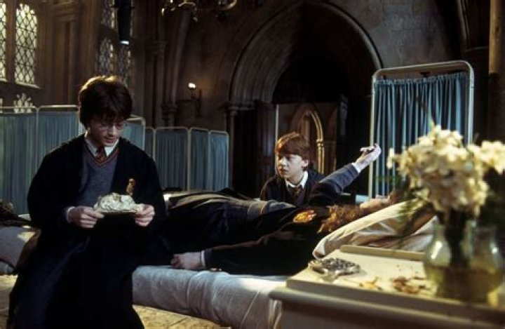 How did Hermione become petrified?