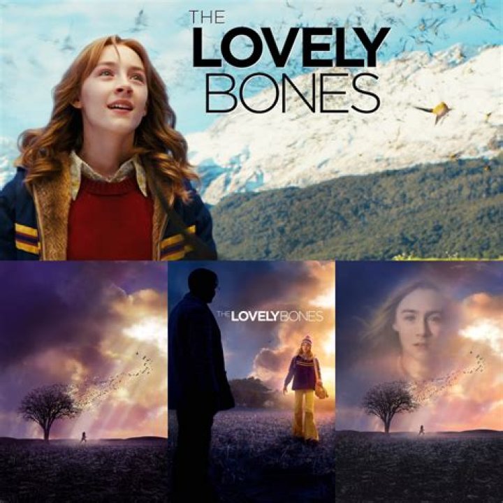 How did The Lovely Bones end?