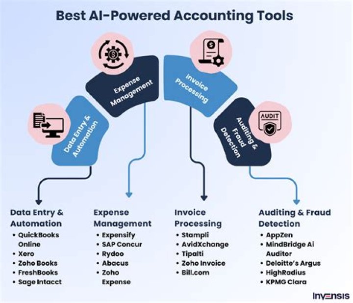 How do accountants use information systems?