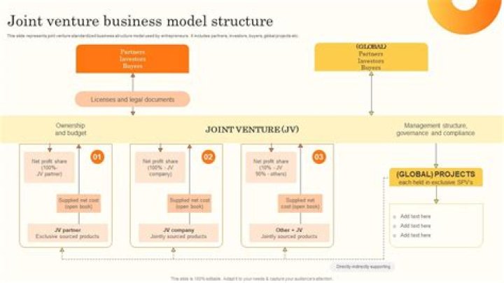 How do companies use joint ventures?
