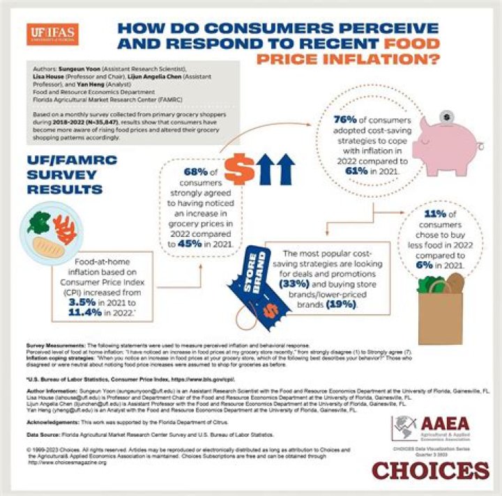 How do consumers decisions affect the economy?