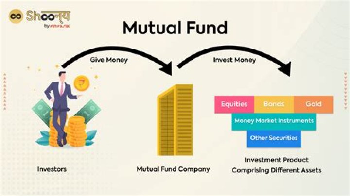 How do I check my mutual fund progress?