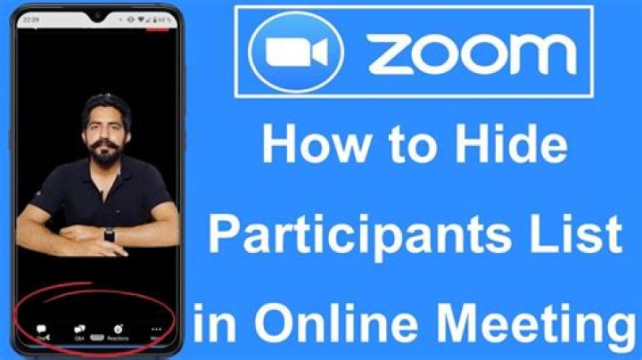 How do I hide videos on Zoom webinar?