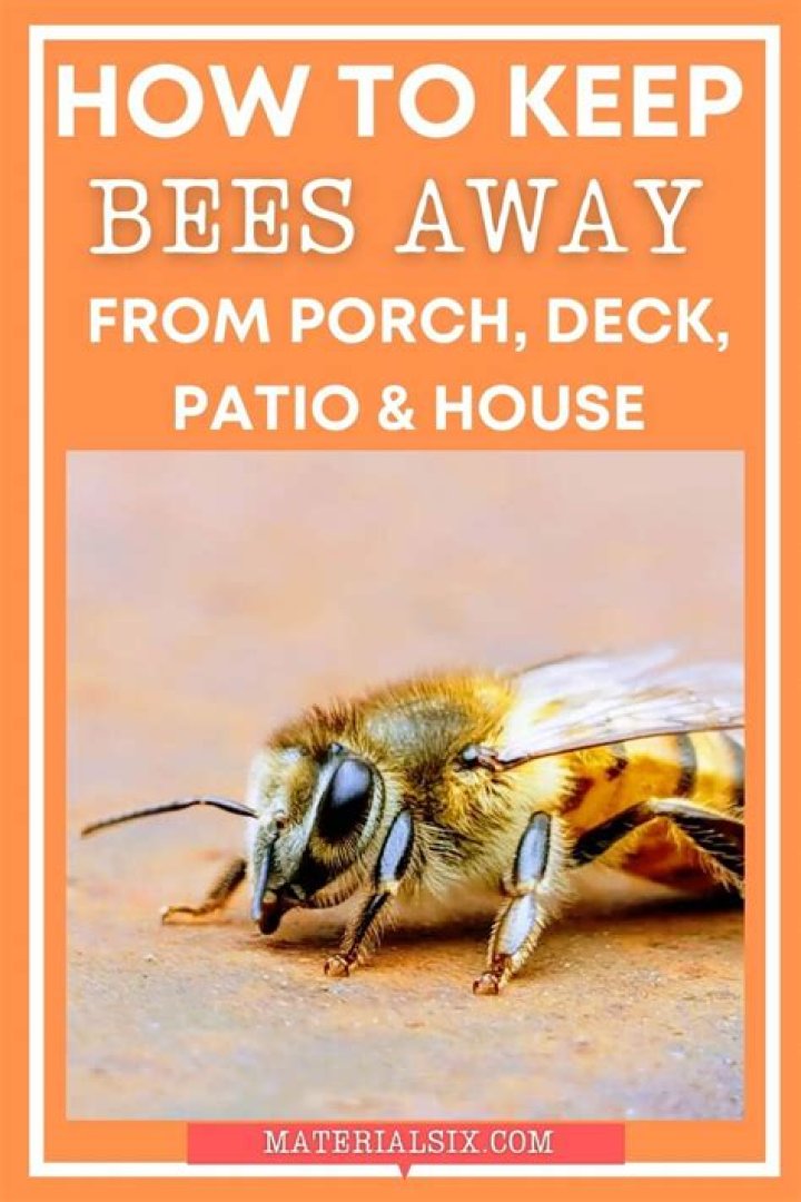 How do I keep bees away from my wood deck?