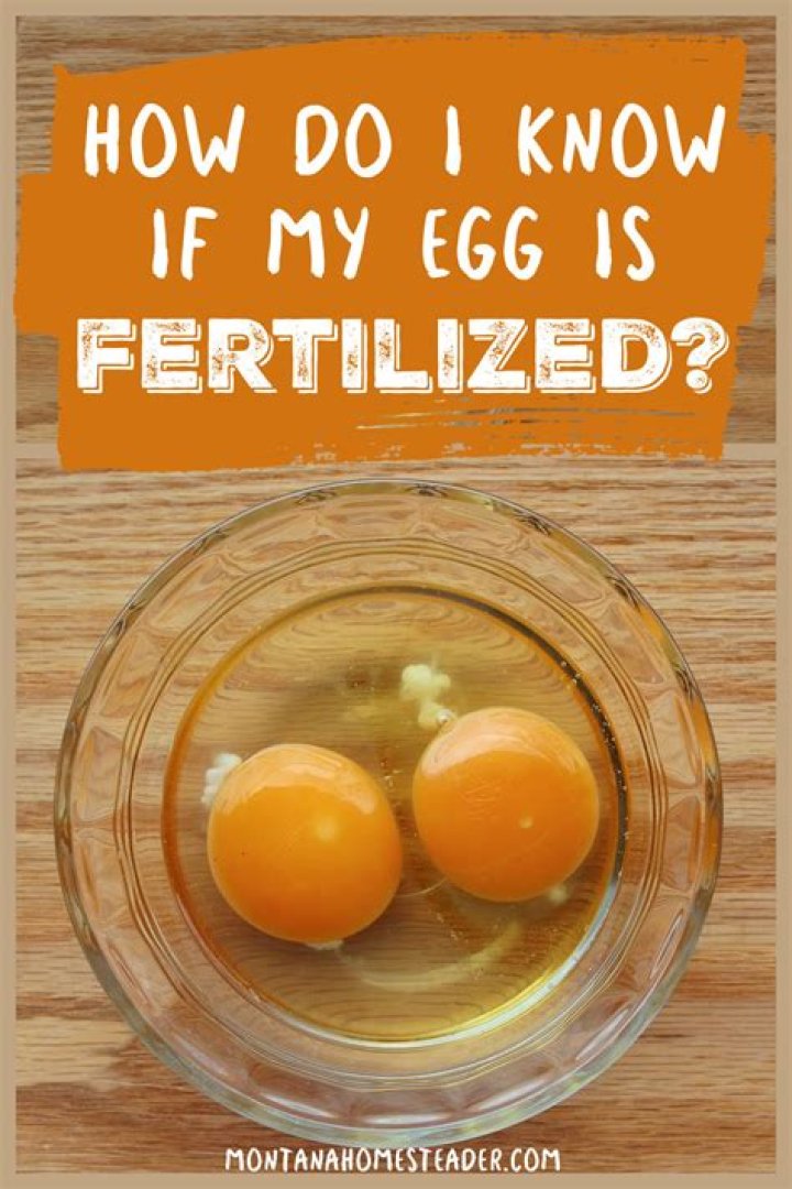 How do I know if my UTI is serious?