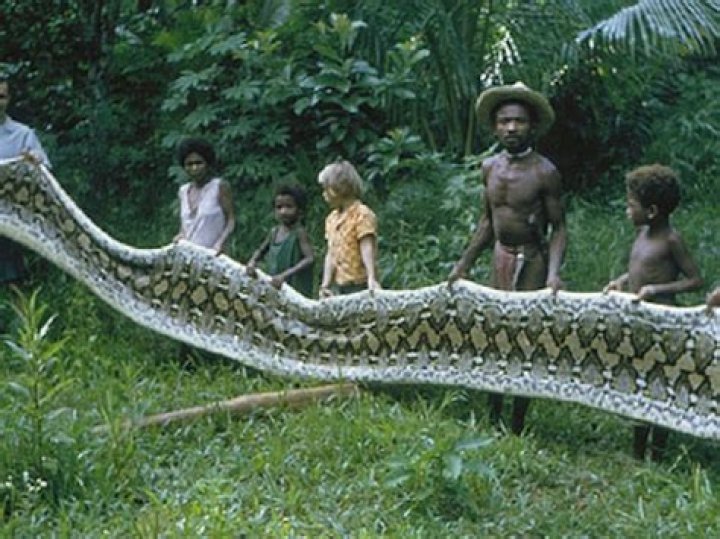 How do I open Python from Anaconda?