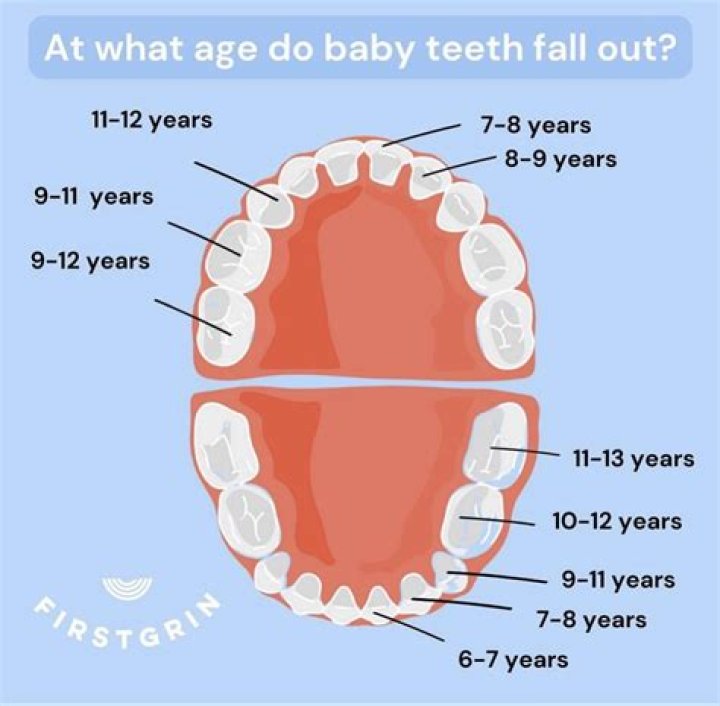 How do I stop my teeth from falling out?