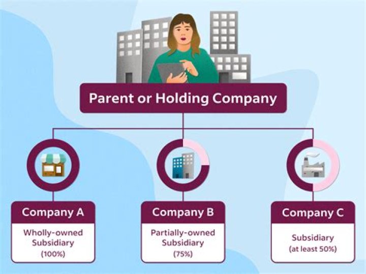 How do LLCS pay employees?