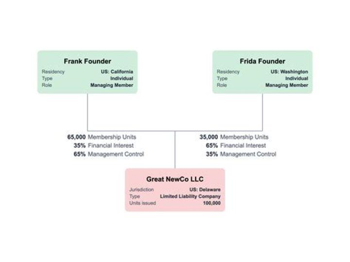 How do multiple members of an LLC get paid?