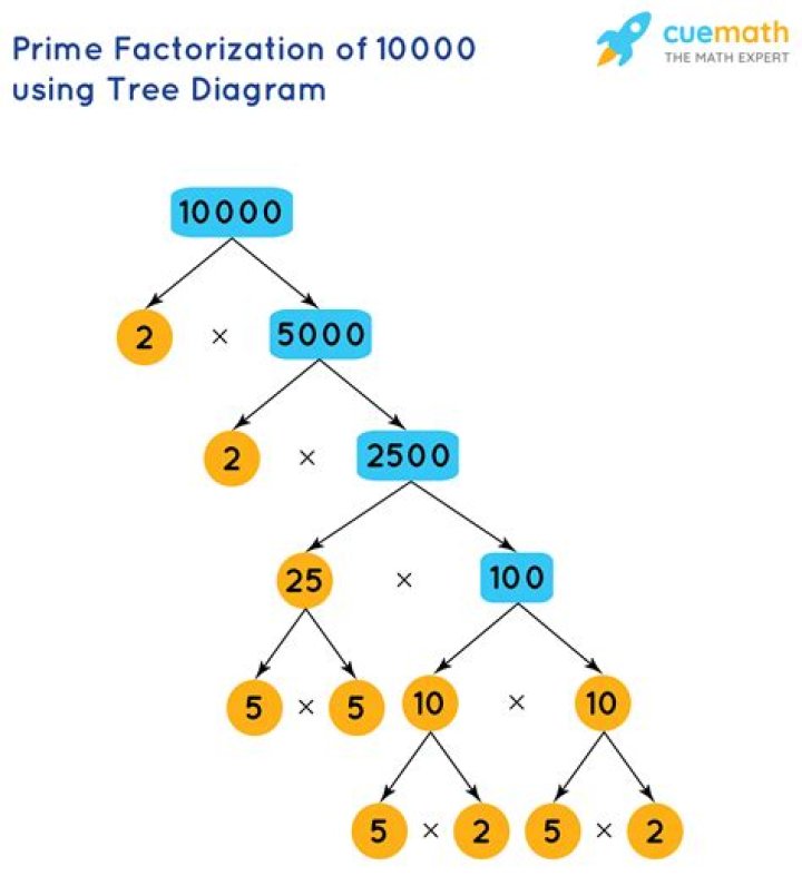 How do prime factor trees work?