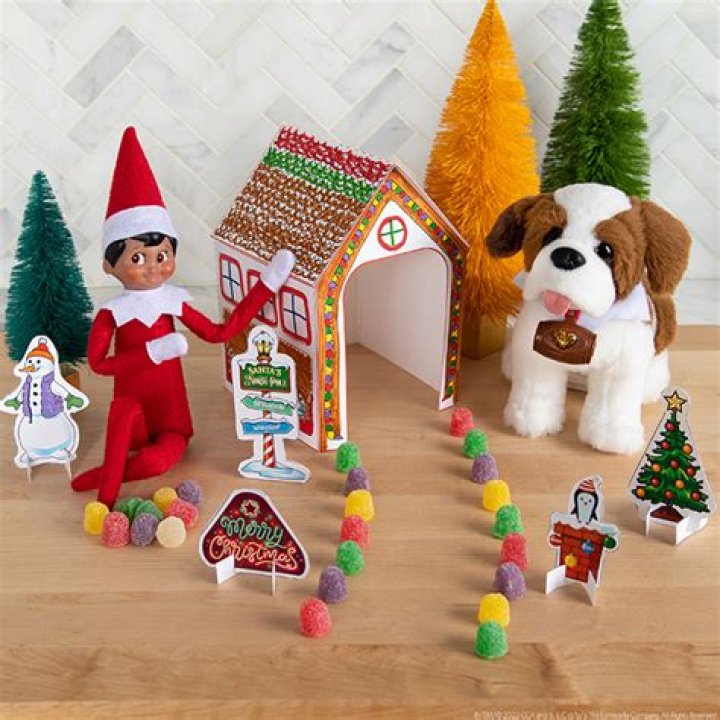 How do the Elf pets work?