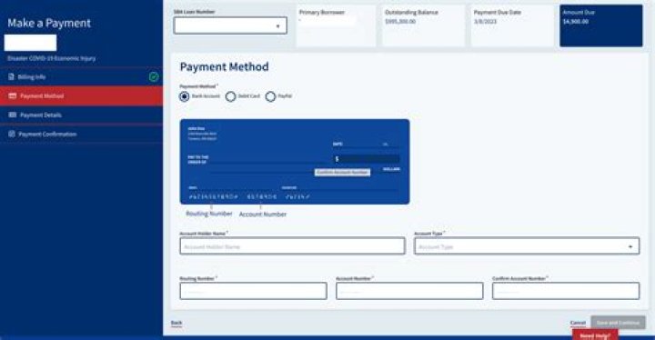 How do you account for Eidl grant?
