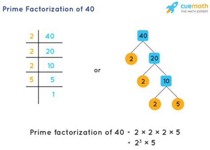 How do you do prime factorization?