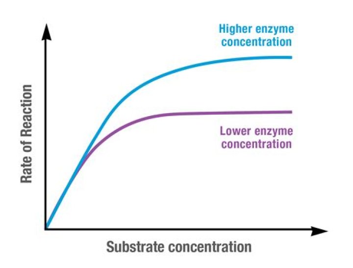 How do you find the concentration factor?