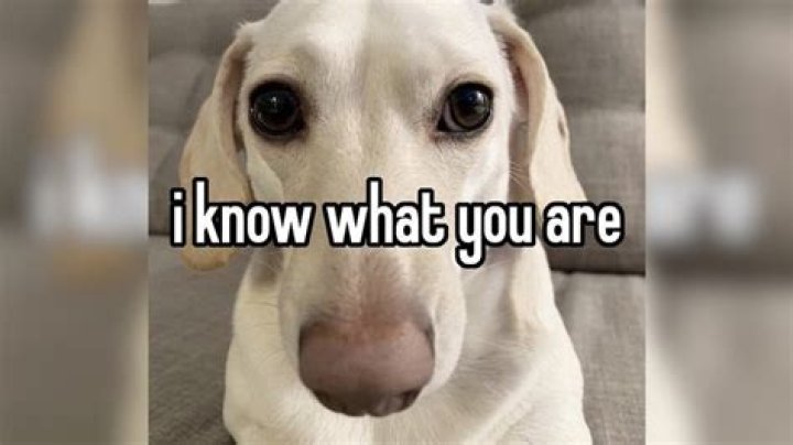 How do you know when your LLC is approved?