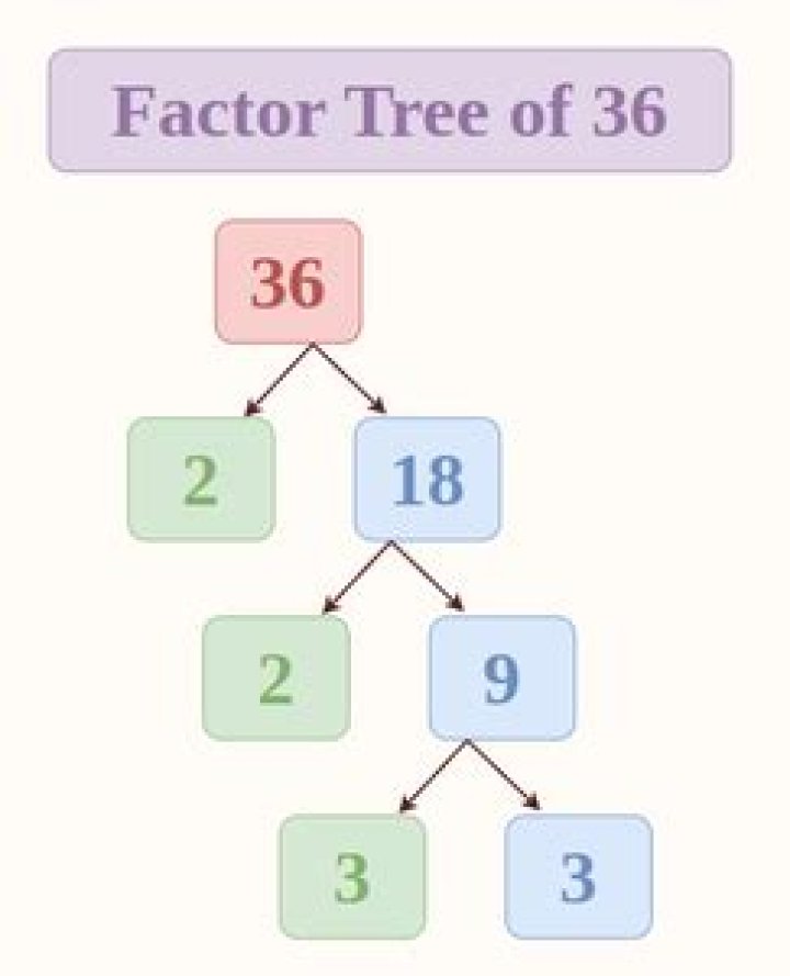 How do you make a factor tree of 36?