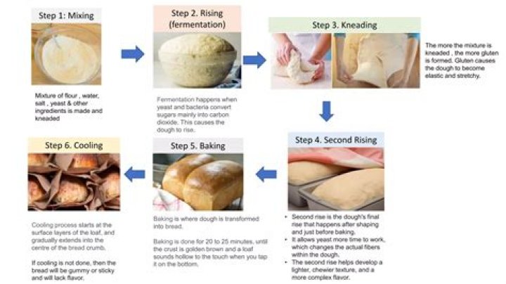 How do you make bread elastic without gluten?