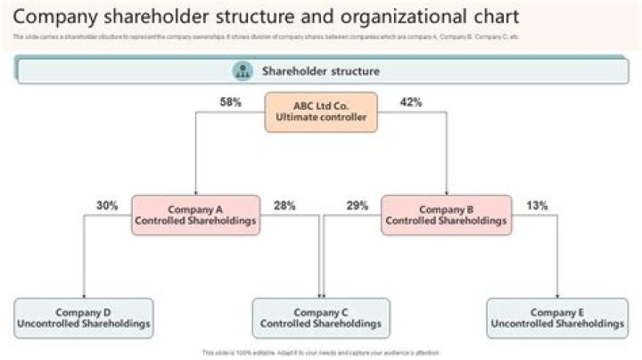 How do you report shareholder distributions?