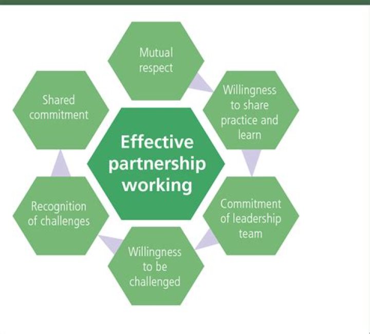 How does a 50/50 business partnership work?