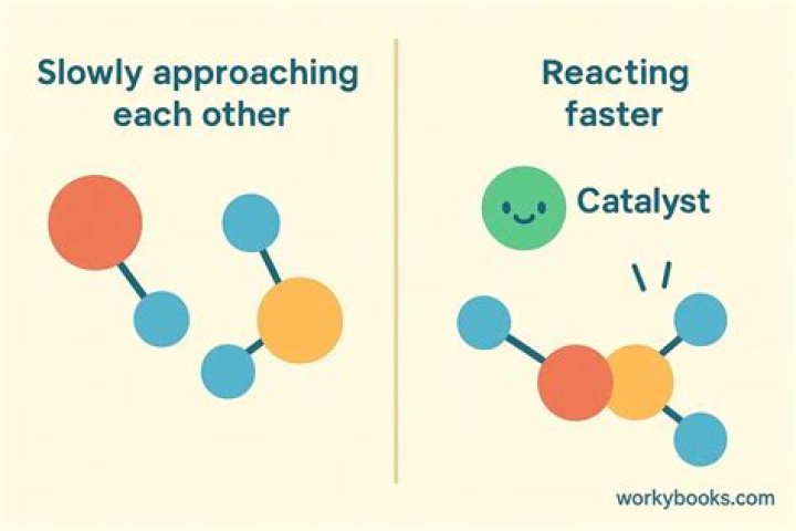 How does a catalyst affect the stock market?