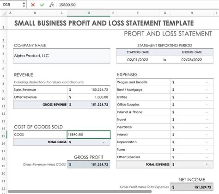 How does a profit/loss statement work?