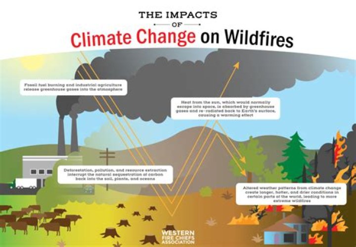 How does a wildfire affect the land and people around it?