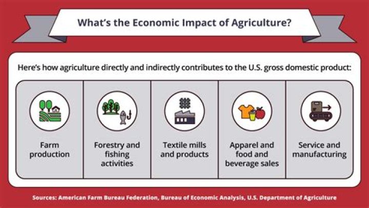 How does agriculture help the economy?