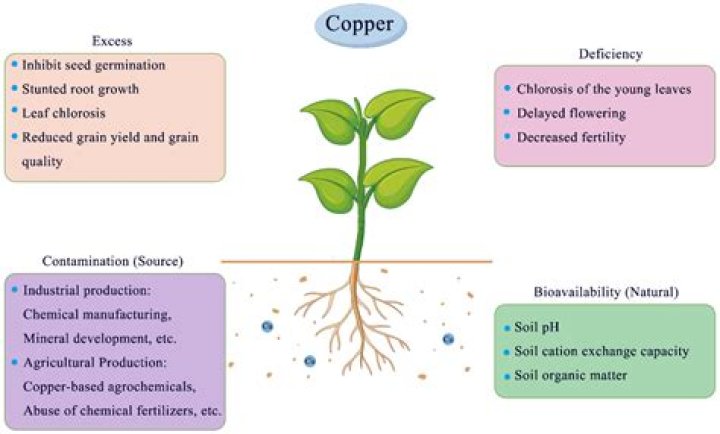 How does copper help the economy?