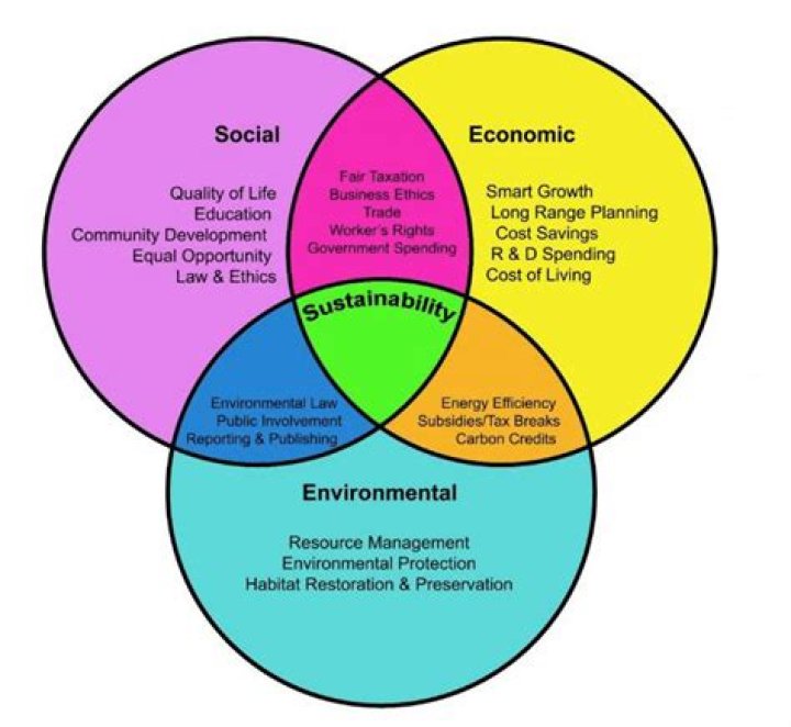 How does environmentalism affect the economy?