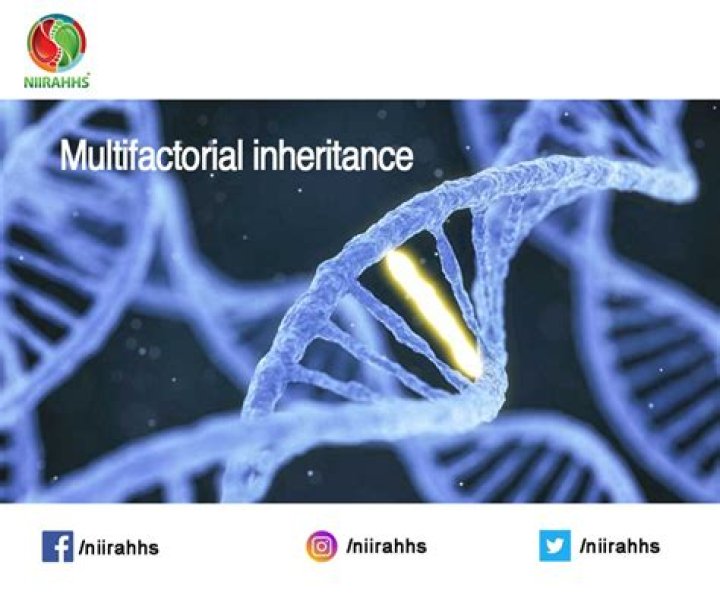 How does multifactorial inheritance work?