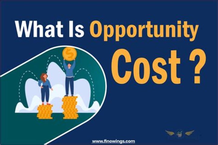 How does opportunity cost affect government?