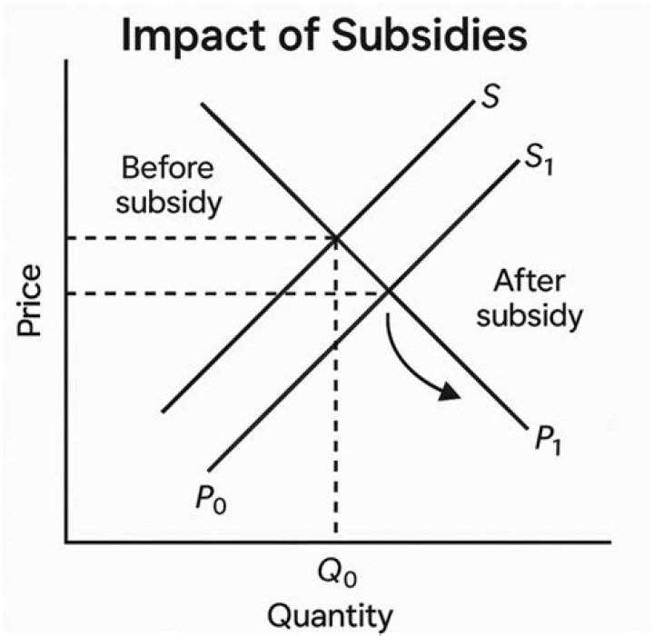 How does subsidy affect supply example?