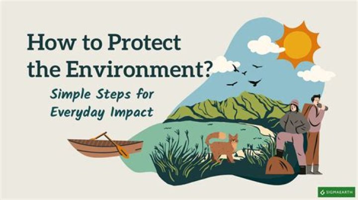 How does the environment help the economy?