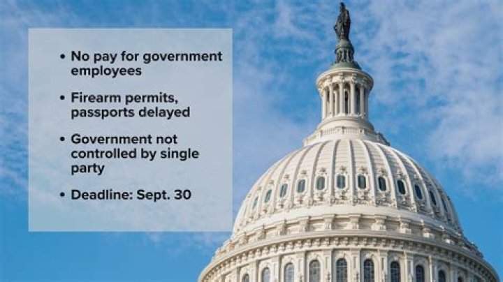 How does the government provide a safety net?