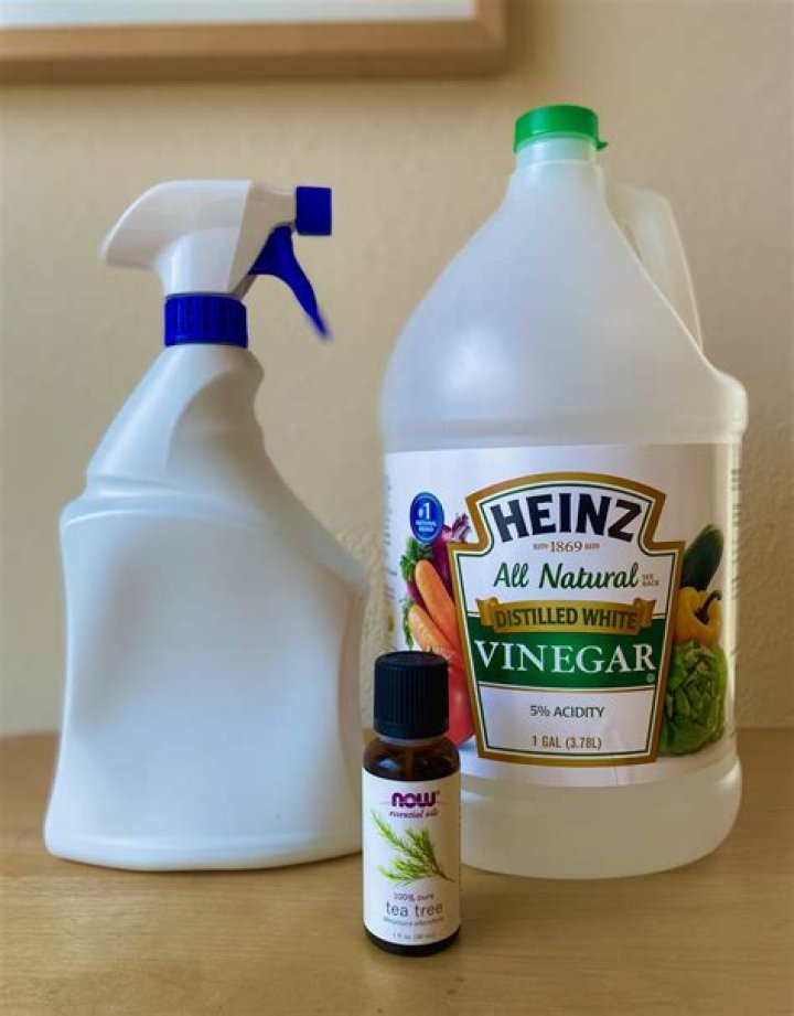 How does vinegar get ice off car?