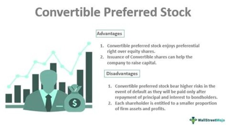 How is preferred stock reported?