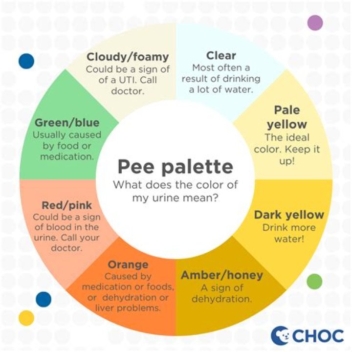 How long after a drink will a toddler pee?