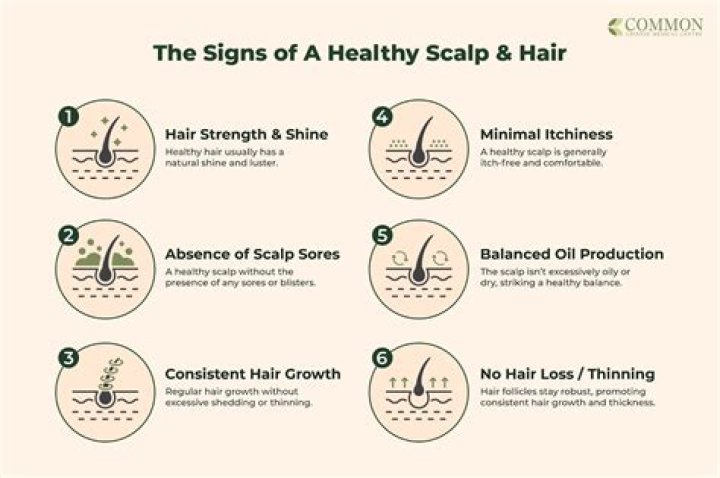 How long does hair live on scalp?