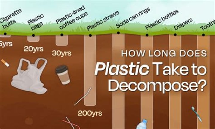 How long does it take for a rash to disappear?